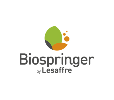 Bio Springer